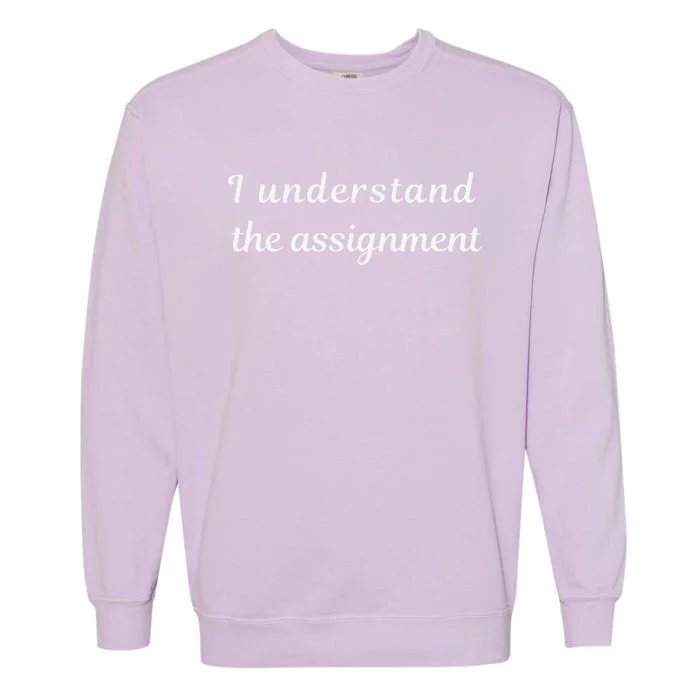 I Understand The Assignment Political Product For Activists Garment-Dyed Sweatshirt