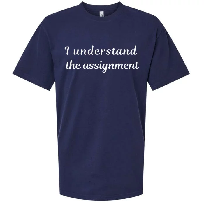 I Understand The Assignment Political Product For Activists Sueded Cloud Jersey T-Shirt