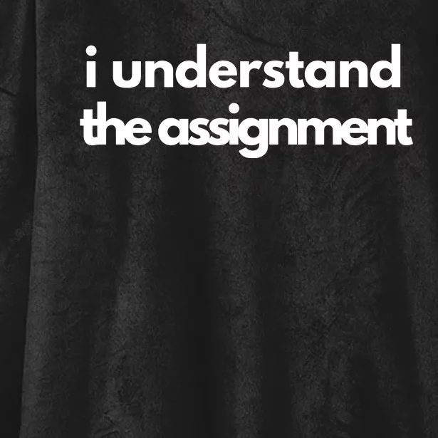 I Understand The Assignment Political Hooded Wearable Blanket