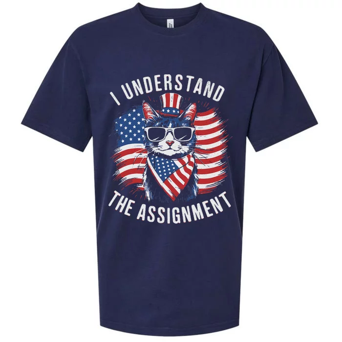 I Understand The Assignment Kamala Harris Walz 2024 Cute Cat Sueded Cloud Jersey T-Shirt