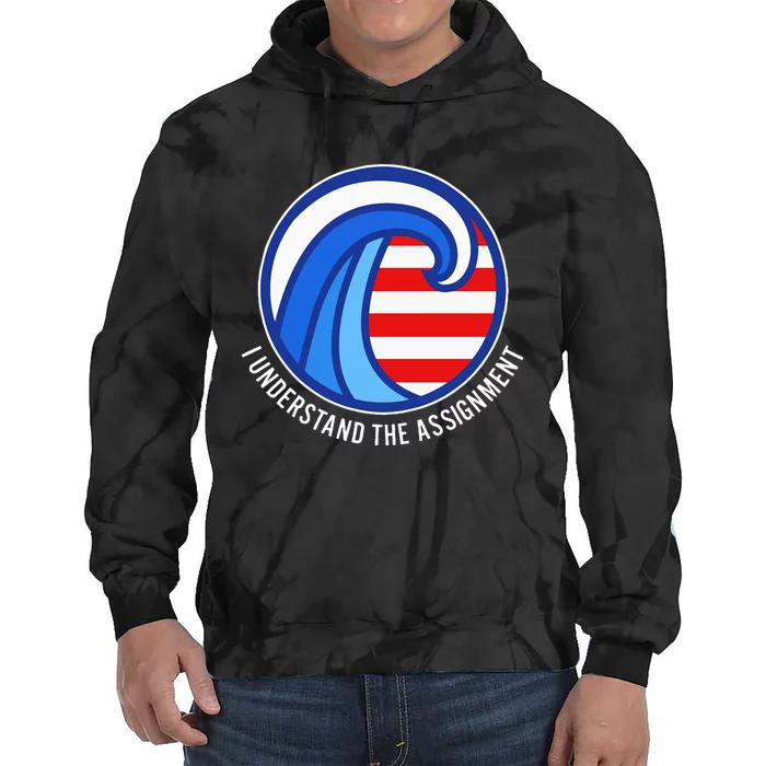 I Understand The Assignment Pro Democrat Harris Walz Tie Dye Hoodie