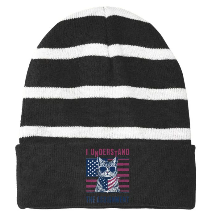 I Understand The Assignment Meme Gift Striped Beanie with Solid Band