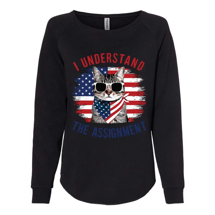 I Understand The Assignment Cat Childless Cat Lady Womens California Wash Sweatshirt