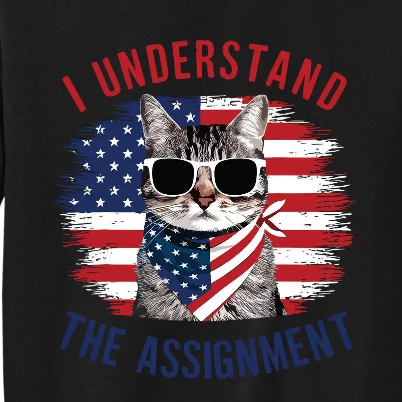 I Understand The Assignment Cat Childless Cat Lady Tall Sweatshirt