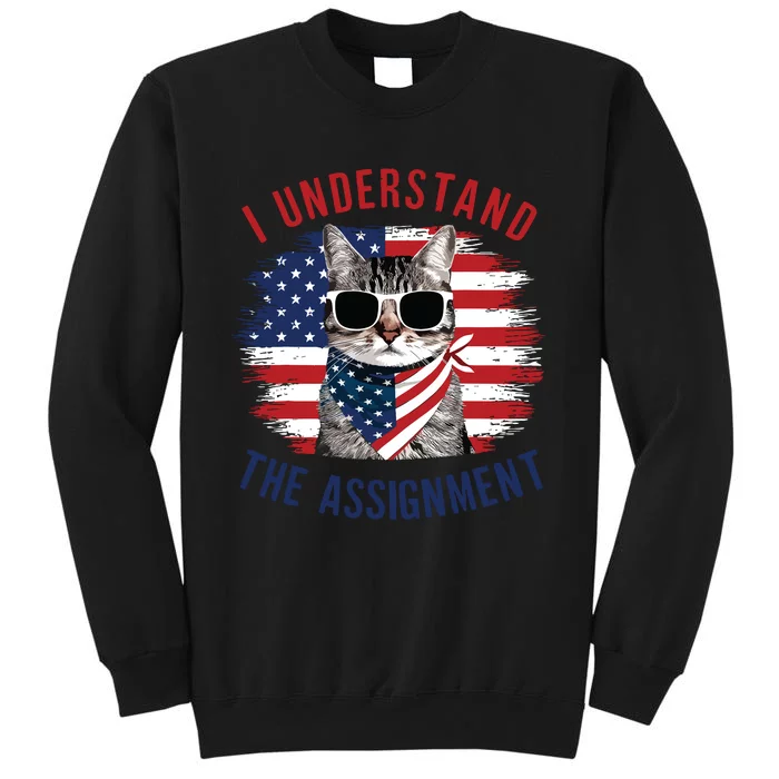 I Understand The Assignment Cat Childless Cat Lady Tall Sweatshirt