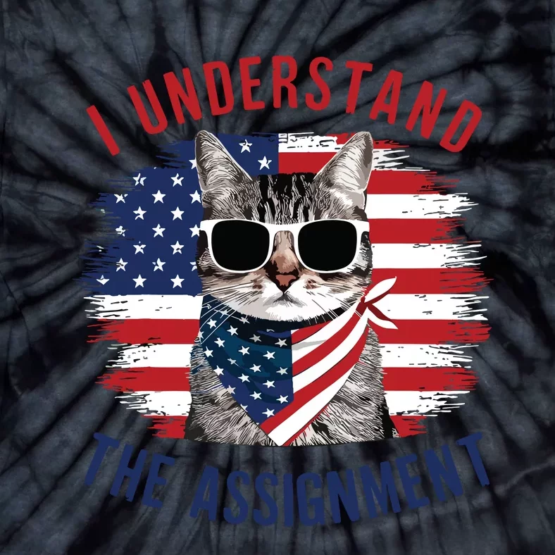 I Understand The Assignment Cat Childless Cat Lady Tie-Dye T-Shirt