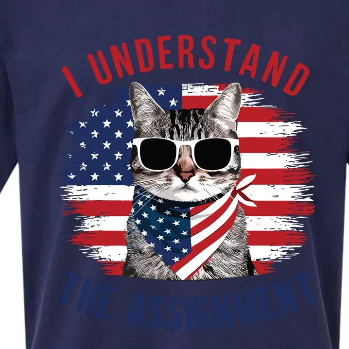 I Understand The Assignment Cat Childless Cat Lady Sueded Cloud Jersey T-Shirt