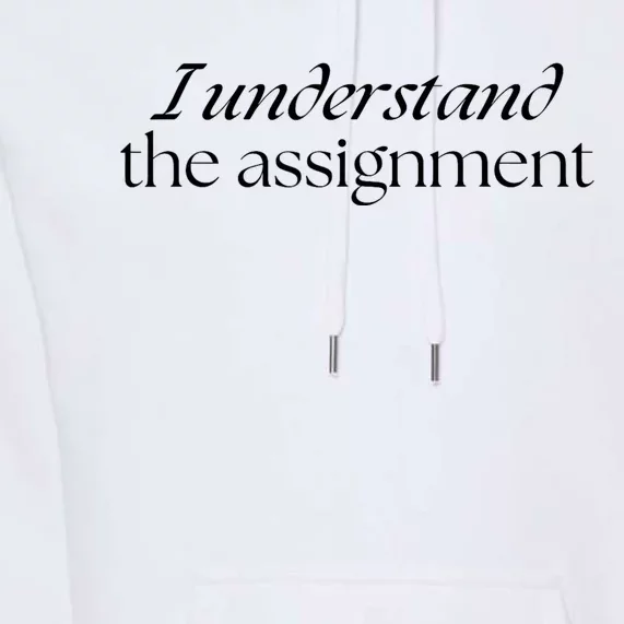 I Understand The Assignment Kamala Harris 2024 Premium Hoodie