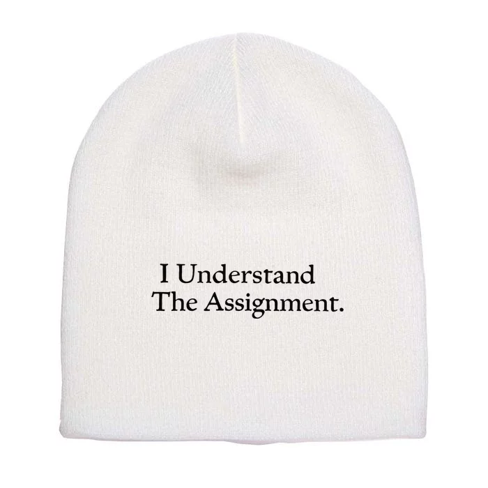 I Understand The Assignment Short Acrylic Beanie