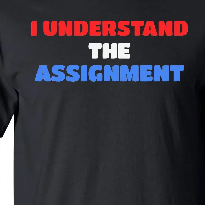 I Understand The Assignment Vote 2024 Democracy Tall T-Shirt