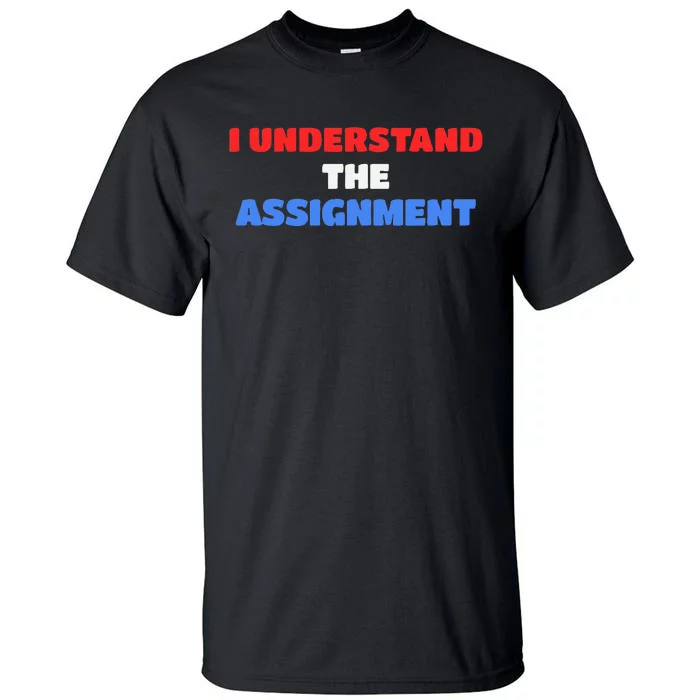 I Understand The Assignment Vote 2024 Democracy Tall T-Shirt