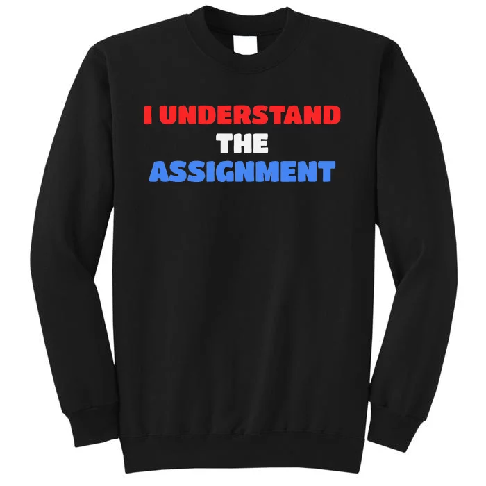 I Understand The Assignment Vote 2024 Democracy Tall Sweatshirt