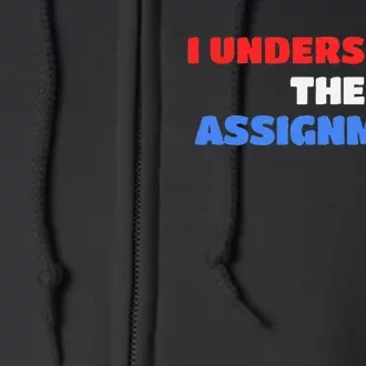 I Understand The Assignment Vote 2024 Democracy Full Zip Hoodie