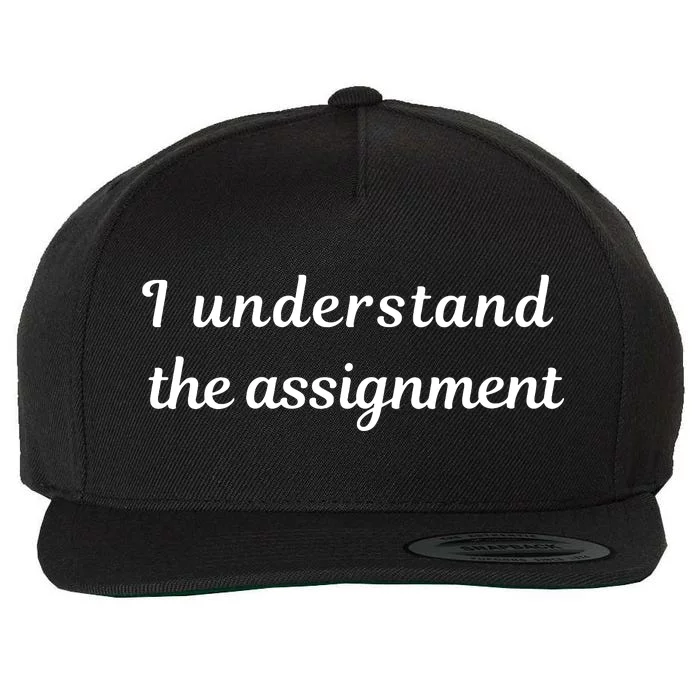 I Understand The Assignment Political Product For Activists Wool Snapback Cap