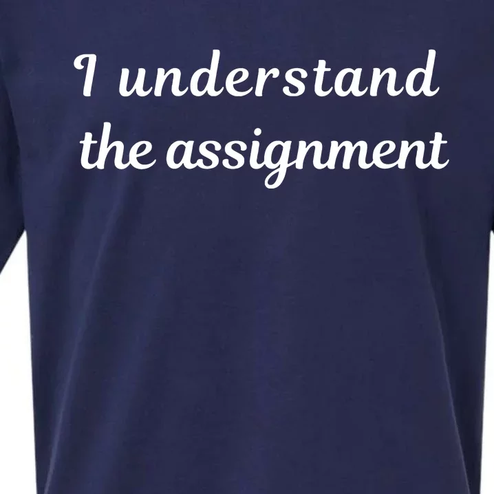 I Understand The Assignment Political Product For Activists Sueded Cloud Jersey T-Shirt