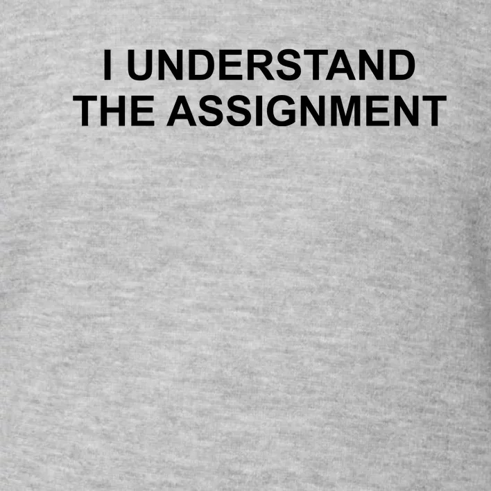 I Understand The Assignment Toddler Sweatshirt