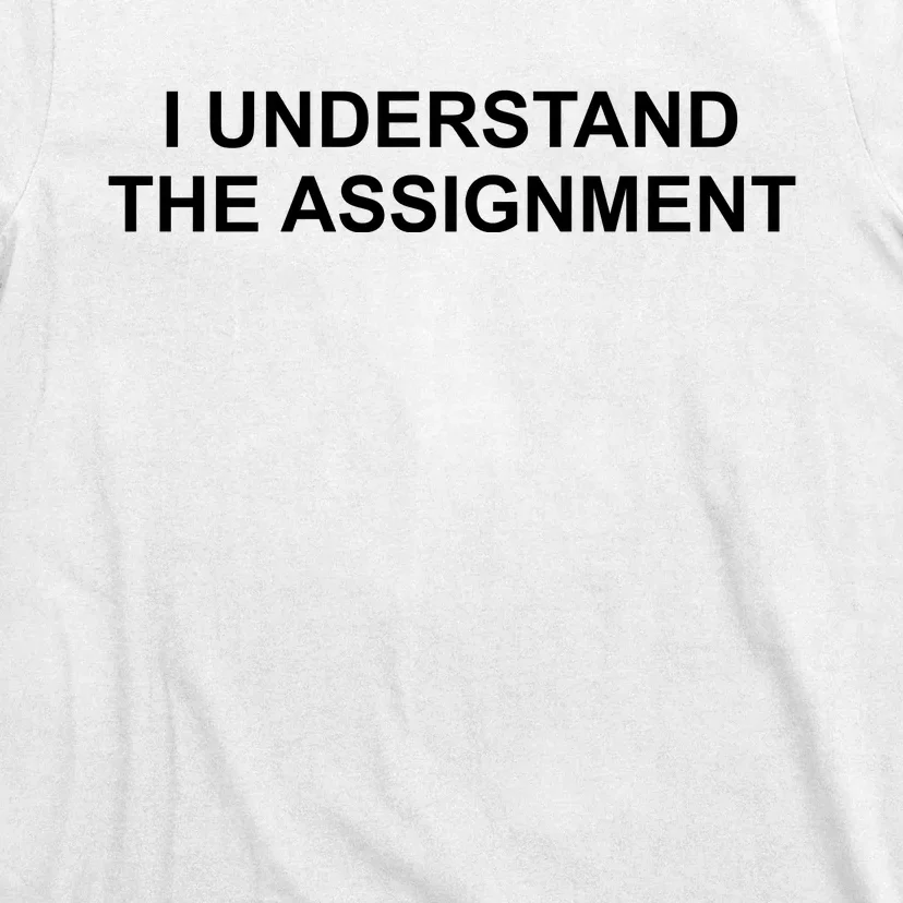 I Understand The Assignment T-Shirt