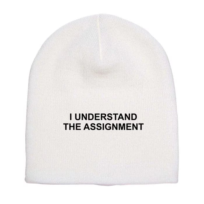 I Understand The Assignment Short Acrylic Beanie