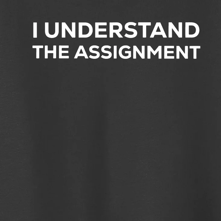 I Understand The Assignment Toddler T-Shirt