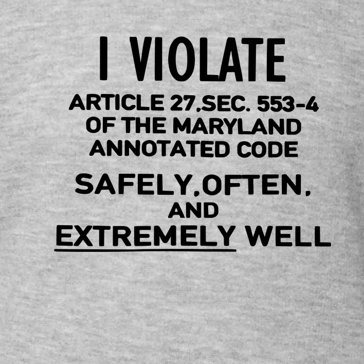 I Violate Article 27 Sec 5534 Of The Maryland Annotated Code Safely Often And E Toddler Sweatshirt