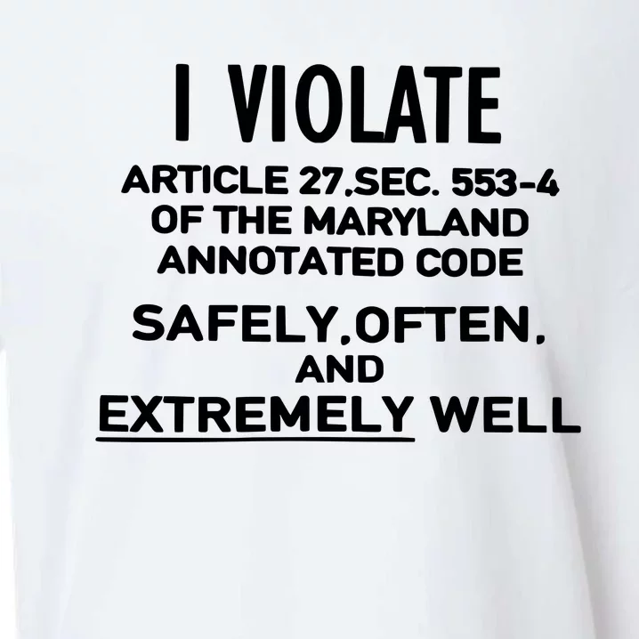 I Violate Article 27 Sec 5534 Of The Maryland Annotated Code Safely Often And E Sueded Cloud Jersey T-Shirt