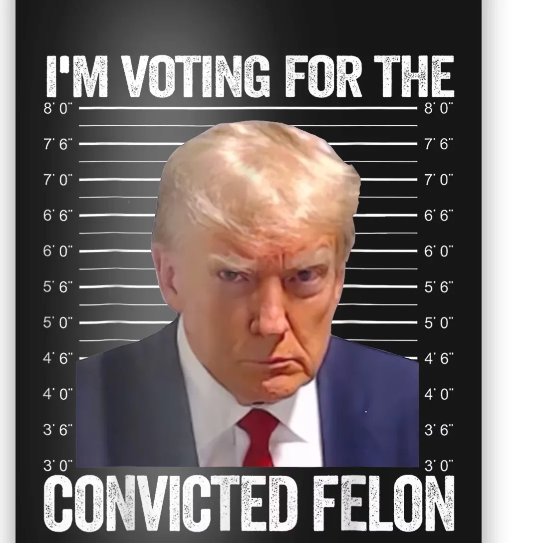 IM Voting Convicted Felon 2024 Poster