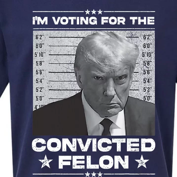 IM Voting Convicted Felon 2024 Trump 2024 Convicted Felon Sueded Cloud Jersey T-Shirt