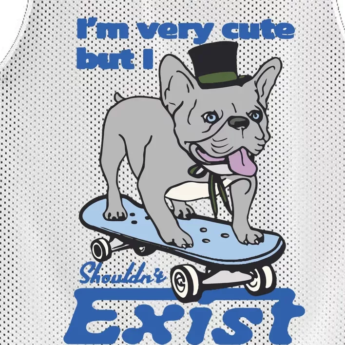 I’M Very Cute But I Shouldn’T Exist Mesh Reversible Basketball Jersey Tank