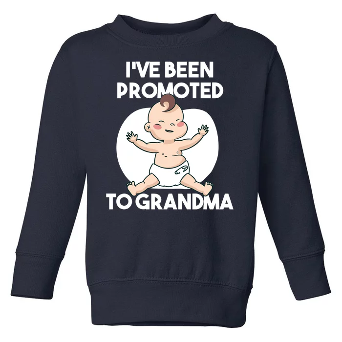 I've Been Promoted To Grandma Toddler Sweatshirt