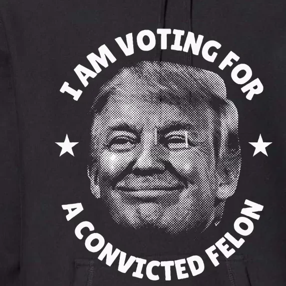 IM Voting For A Convicted Felon Trump 2024 Premium Hoodie