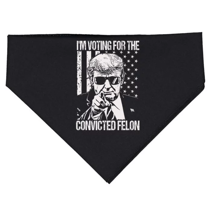 IM Voting For The Convicted Felon USA-Made Doggie Bandana