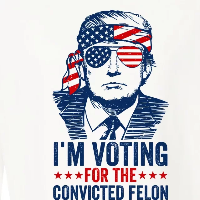 Im Voting For The Convicted Felon 2024 Cropped Pullover Crew