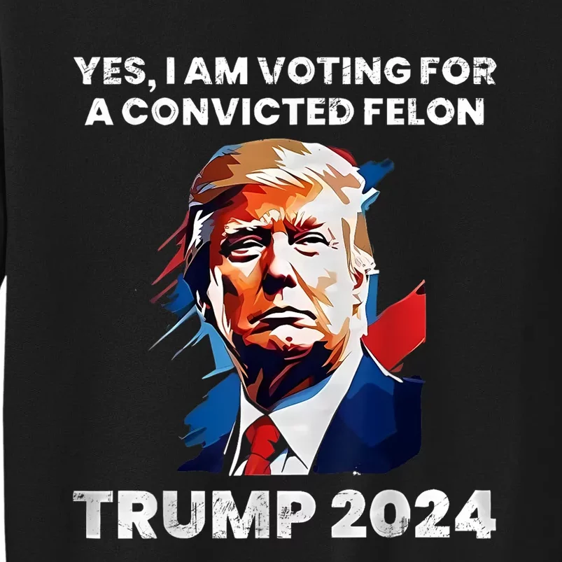 IM Voting For The Convicted Felon For President 2024 Sweatshirt