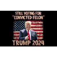 Im Voting For The Nonconvicted Felon Funny Pro Biden 2024 Bumper Sticker