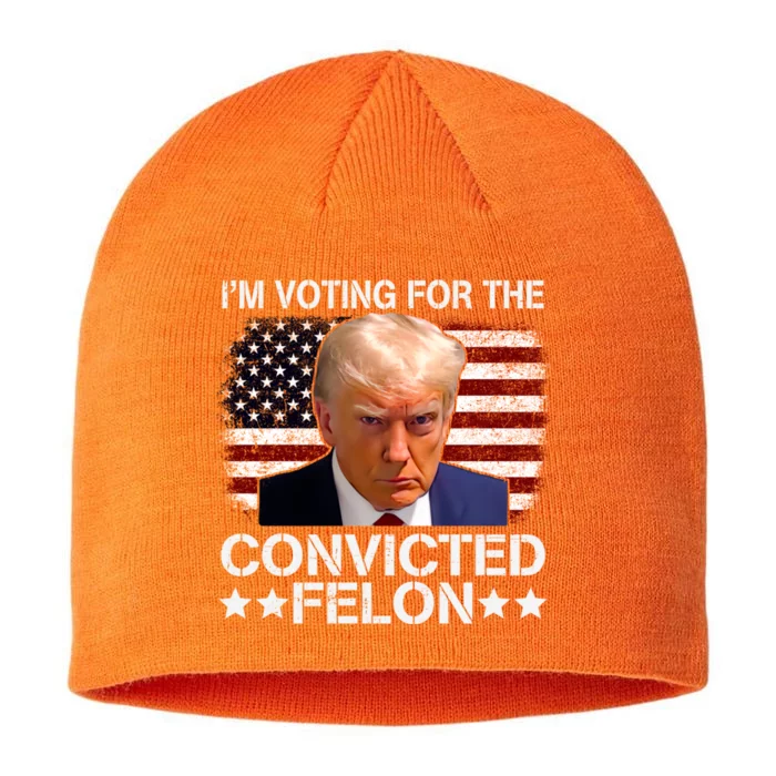 IM Voting For The Convicted Felon 2024 Funny Trump 8 1/2in Sustainable Knit Beanie