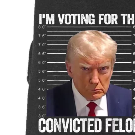 Im Voting For The Convicted Felon Funny Pro Trump 2024 Doggie 3-End Fleece Hoodie