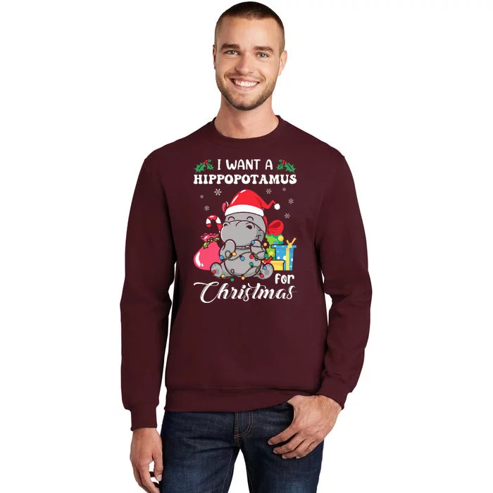 I Want A Hippopotamus For Christmas Hippo Christmas Pajamas Tall Sweatshirt