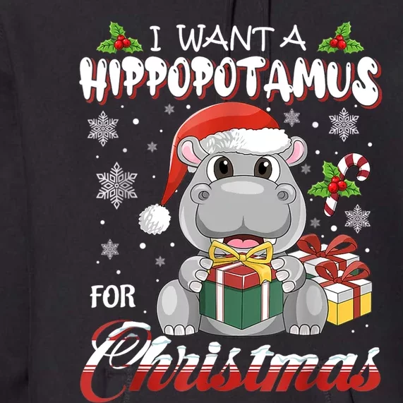 I Want A Hippopotamus For Christmas Xmas Lights Santa Hippo TShirt Premium Hoodie