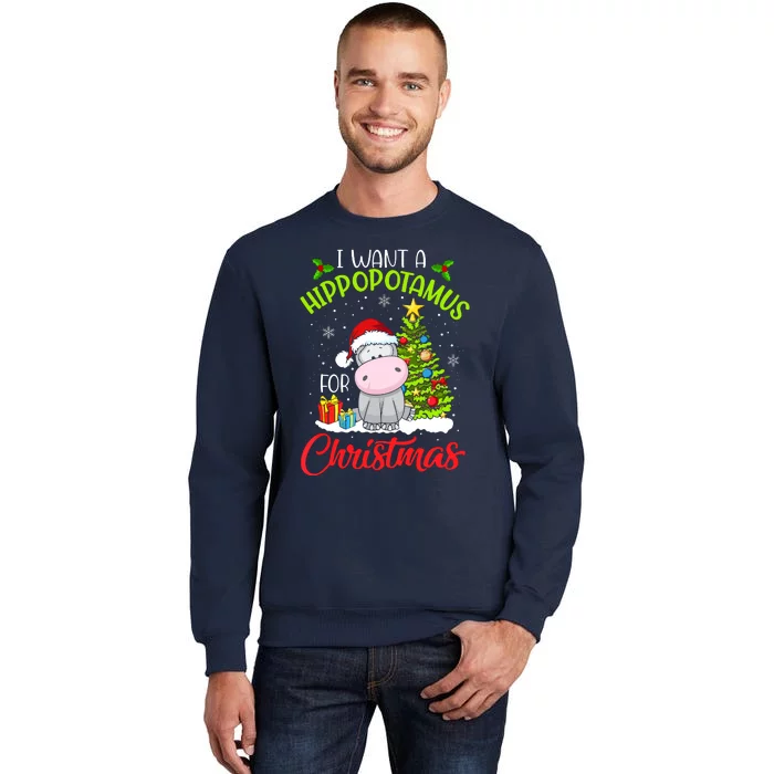 I Want A Hippopotamus For Christmas, Xmas Hippo Tall Sweatshirt