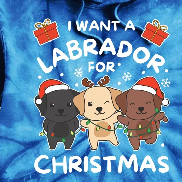 I Want A Labrador For Christmas Cute Dogs Great Gift Tie Dye Hoodie