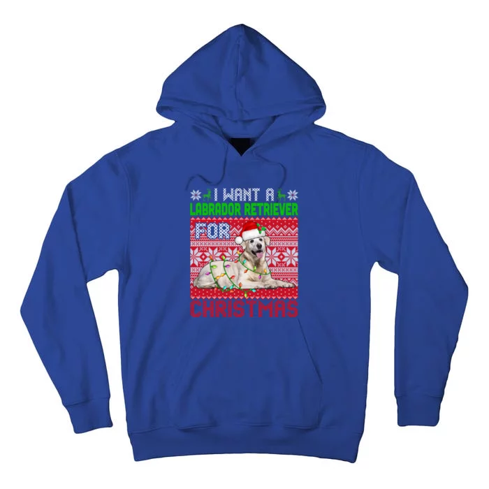 I Want A Labrador Retriever For Christmas Santa Dog Lover Funny Gift Tall Hoodie