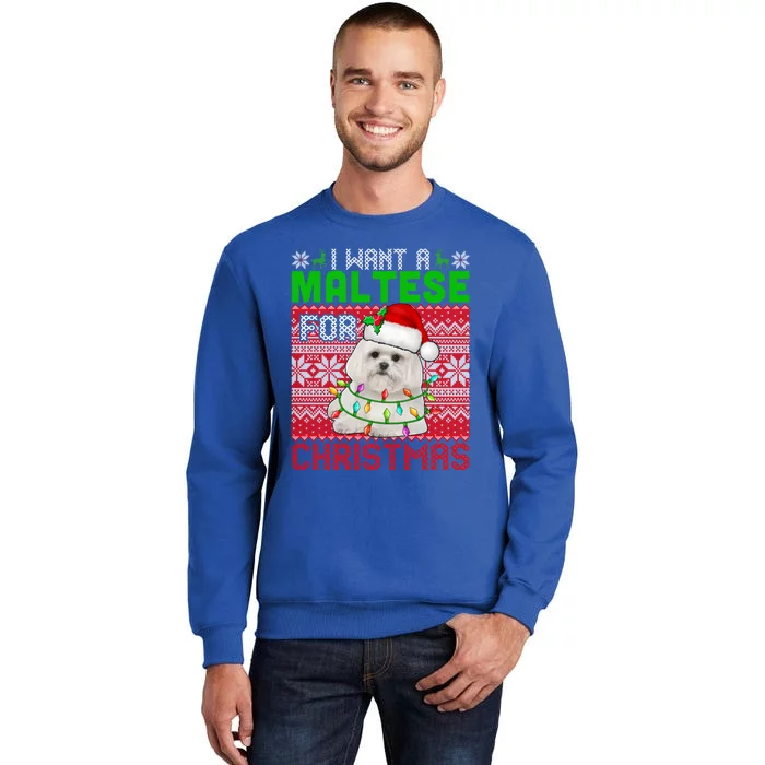 I Want A Maltese For Christmas Santa Dog Lover Owner Gift Sweatshirt