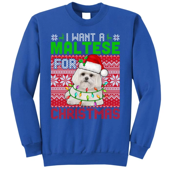 I Want A Maltese For Christmas Santa Dog Lover Owner Gift Sweatshirt