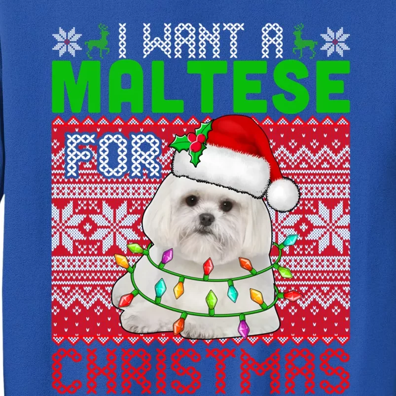 I Want A Maltese For Christmas Santa Dog Lover Owner Gift Tall Sweatshirt