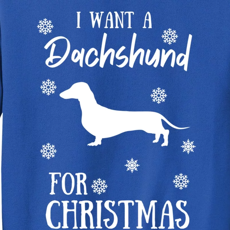 I Want A Dachshund For Christmas Weenie Dog Gift Tall Sweatshirt