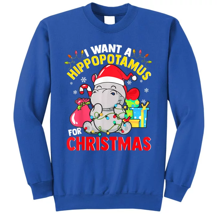 I Want A Hippopotamus For Christmas Hippo Christmas Pajamas Gift Tall Sweatshirt