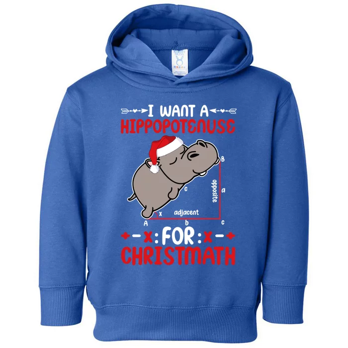 I Want A Hipopotenuse For Christmath Funny Hippo Xmas Gift Toddler Hoodie