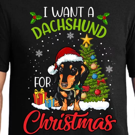 I Want A Dachshund For Christmas Xmas Hippo Gift Pajama Set