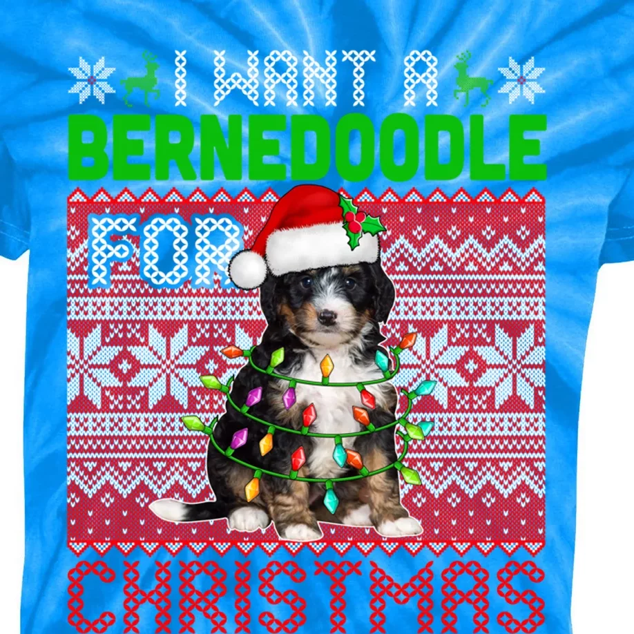 I Want A Bernedoodle For Christmas Santa Dog Lover Owner Gift Kids Tie-Dye T-Shirt