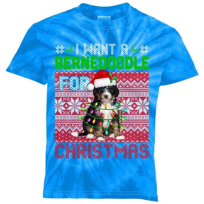 I Want A Bernedoodle For Christmas Santa Dog Lover Owner Gift Kids Tie-Dye T-Shirt